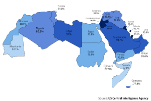Arab Literacy Rate - Map