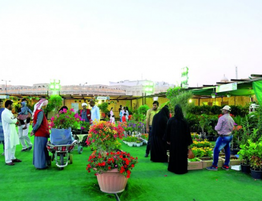 The first flower festival in Qatar at Souq Waqif - Salim Matramkot / The Peninsula
