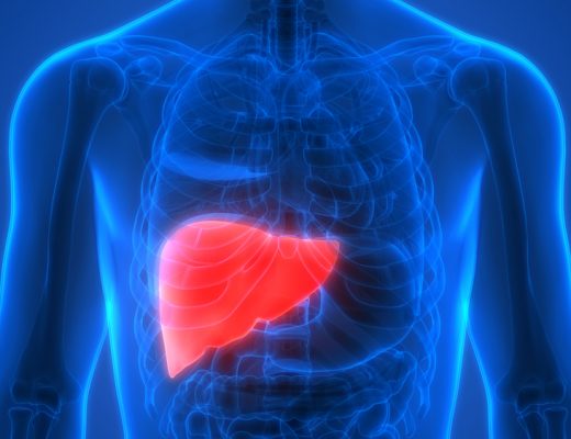 The liver is very well a crucial organ in the human body