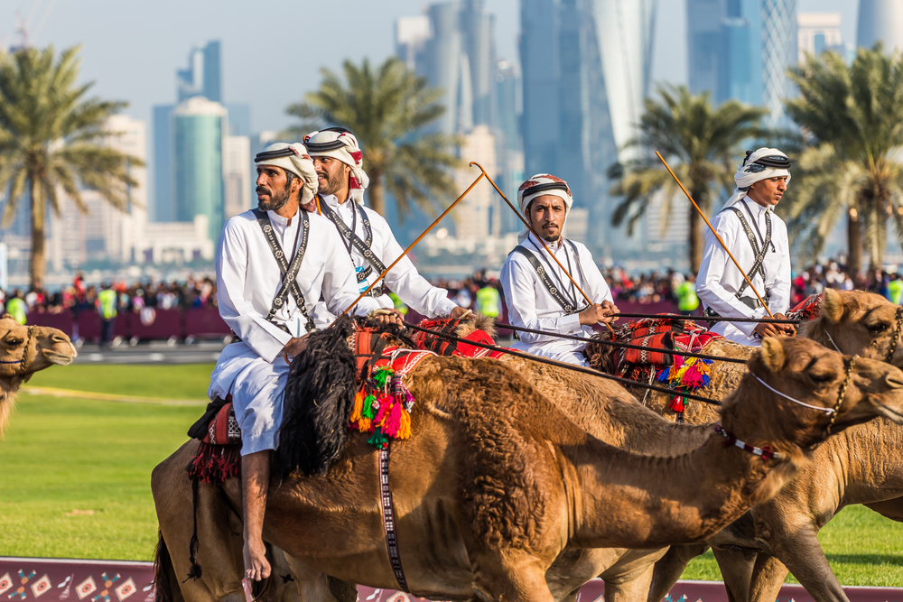 Men riding camels in Qatar during the Qatar National Day. Nawasi is an exhibition focusing on the country's horse, camel and falcon culture.