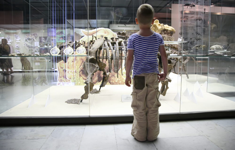 A child looking at an exhibit at a children's museum