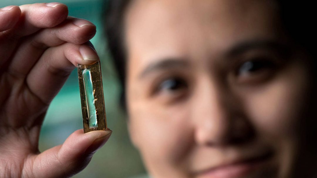 University of California Irvine doctoral candidate Mya Le Thai discovered a method to make the rechargeable lithium-ion battery virtually rechargeable forever
