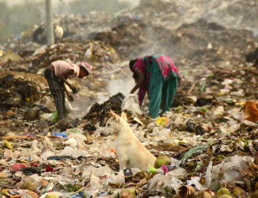 India bans disposable plastic in its capital Delhi