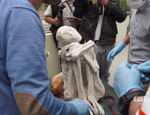 One of the mummified aliens found in the Nazca desert of Peru - Gaia