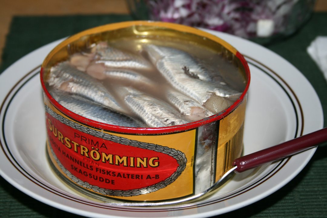 sour herring, a fermented fish from Sweden known as 'surstromming' - wikimedia Wrote
