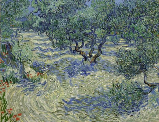 Grasshoped found in Vincent Van Gogh famous painting olive trees