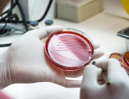scientists have found new antibiotics called malacidin that can kill mrsa bacteria