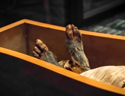 Nicholson Museum at the University of Sydney have found the mummy of Mer-Neith-it-es in an empty sarcophagus