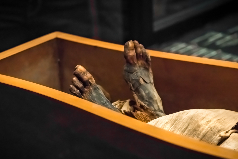 Nicholson Museum at the University of Sydney have found the mummy of Mer-Neith-it-es in an empty sarcophagus