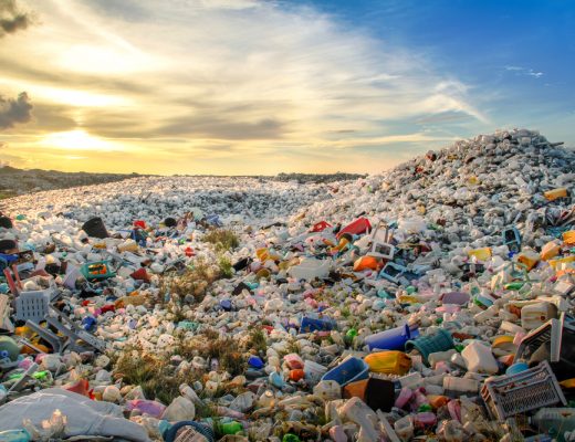 Scientists have created bacteria that can break down non-biodegradable plastic and help end global pollution