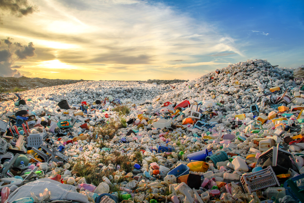 Scientists have created bacteria that can break down non-biodegradable plastic and help end global pollution