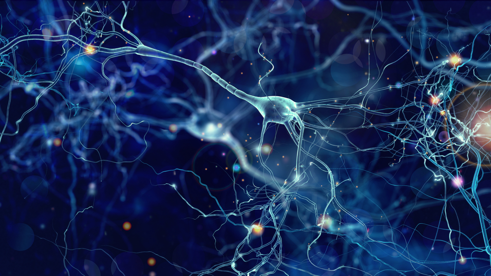 older people still generate new brain cells (neurons) study finds