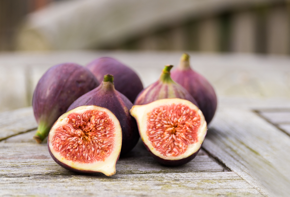 sometimes female wasps die inside figs during pollination