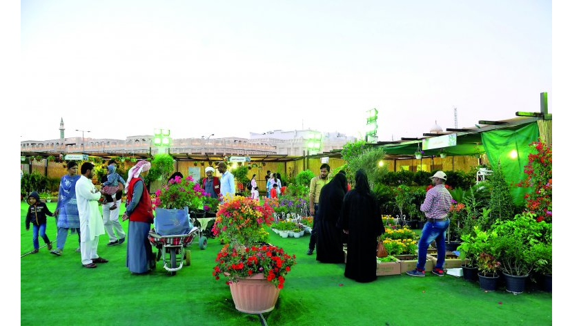 The first flower festival in Qatar at Souq Waqif - Salim Matramkot / The Peninsula