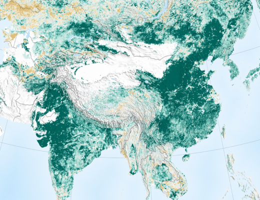 China and India has fought deforestation and actually made the Earth greener