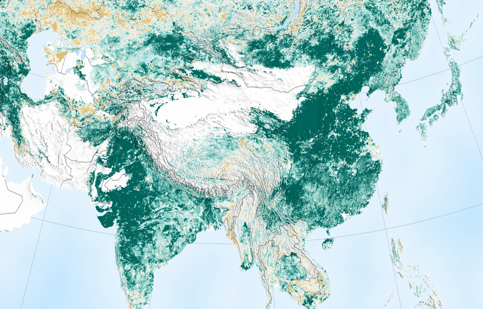 China and India has fought deforestation and actually made the Earth greener